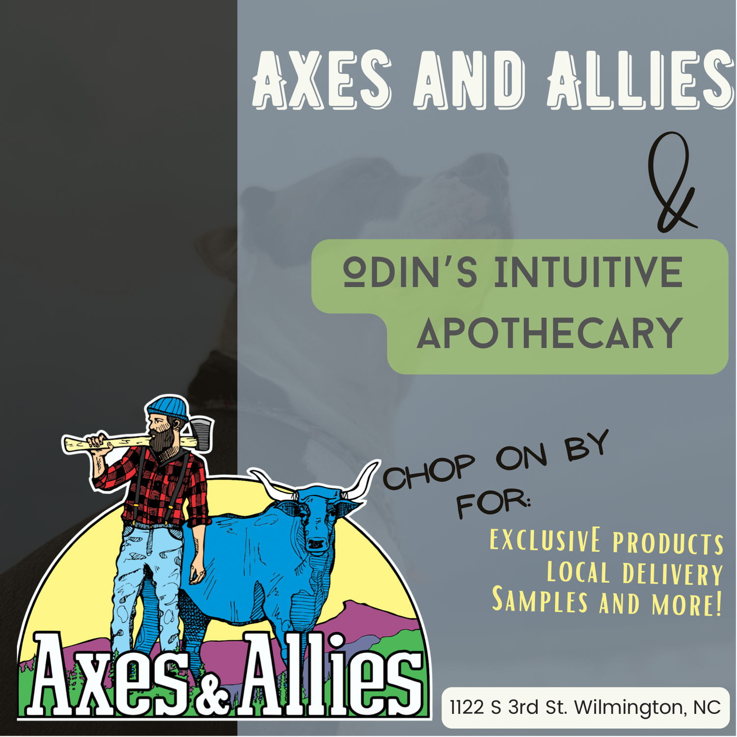 OIA x AXES AND ALLIES